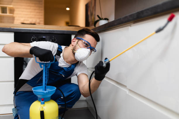 Best Affordable Pest Control Services  in Penrose, CO