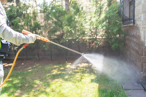 Best Affordable Pest Control Services  in Penrose, CO