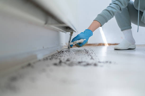 Best Bed Bug Extermination  in Penrose, CO