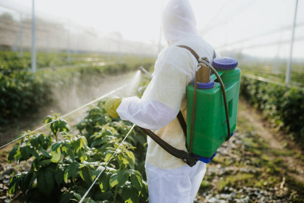 Trusted Penrose, CO Pest Control Experts